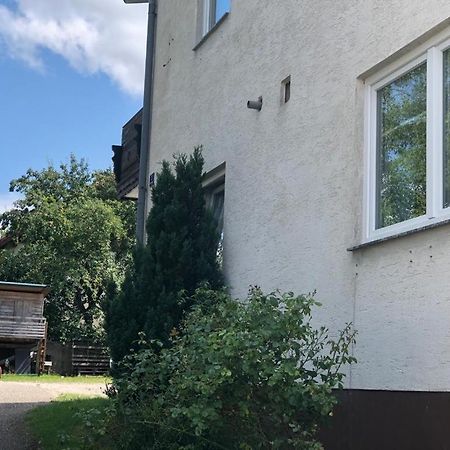 Gruener Baum Ferienwohnung Gampern Exterior foto